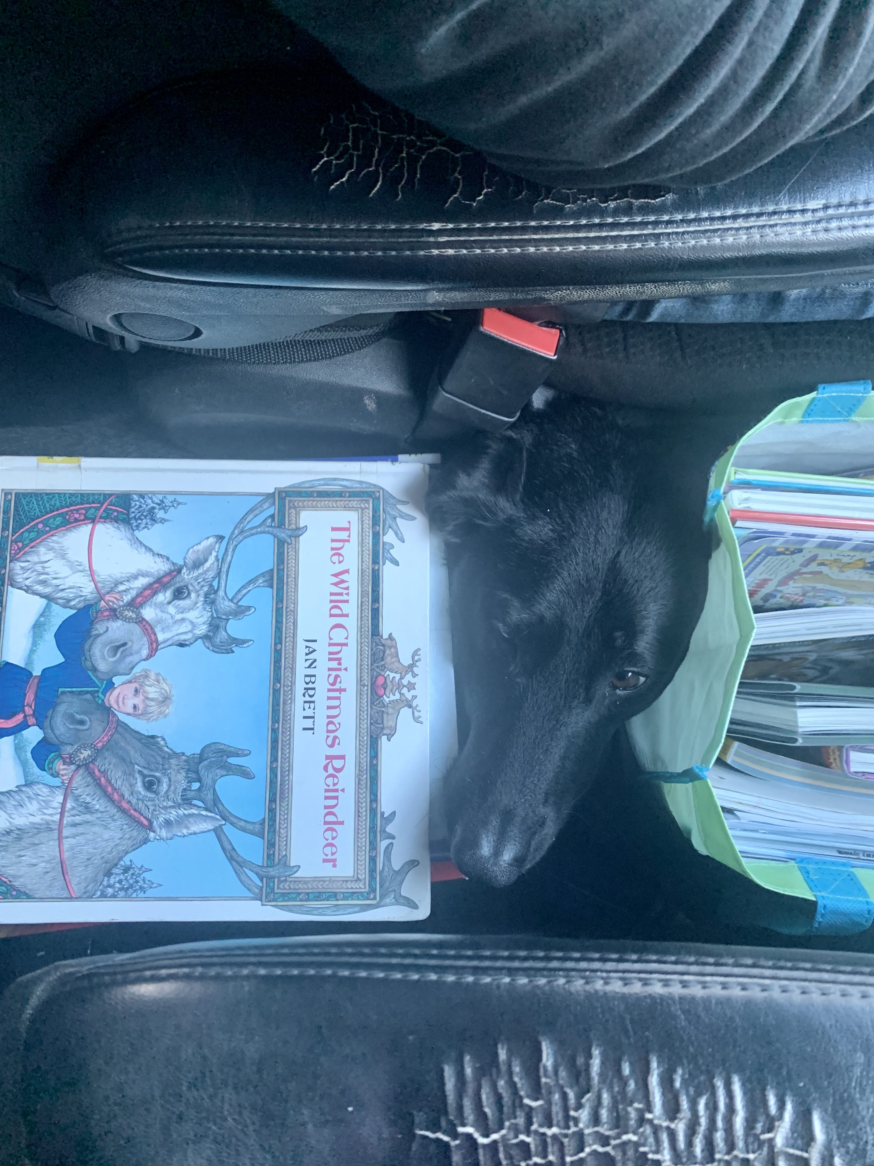 Road Trip